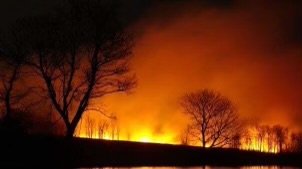 picture of a field glowing with fire